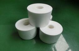 ���ķ���ϩ��Ĥ�Ӊ����ϵďV���\(y��n)��